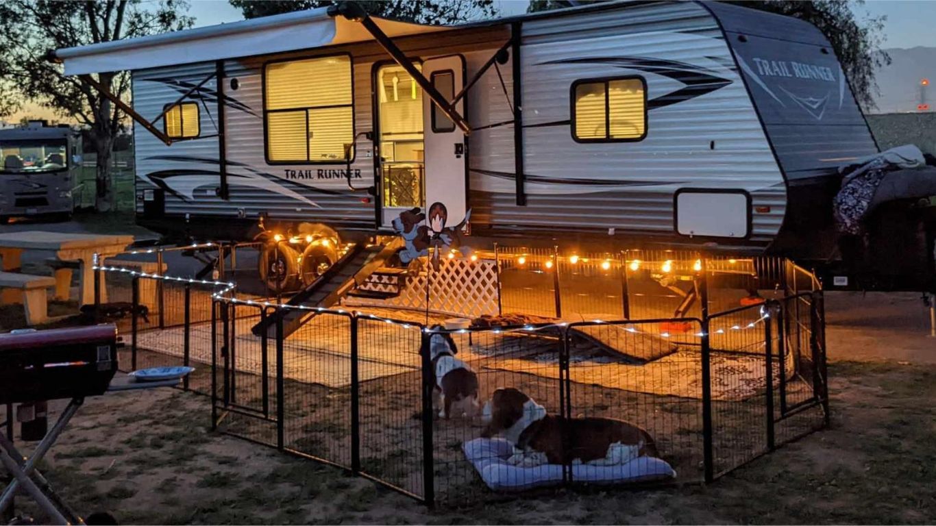 From Puppy to Senior: Choosing the Right Fence for Every Stage of Your Dog's Life