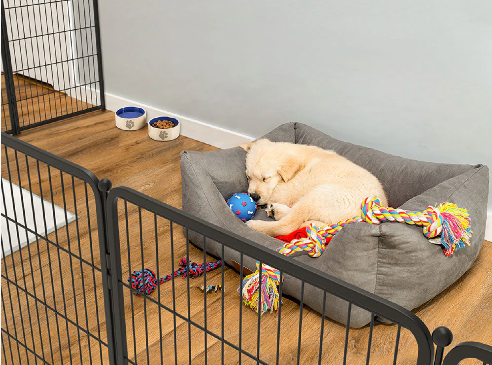 A dog playpen is set up home and secure the puppy