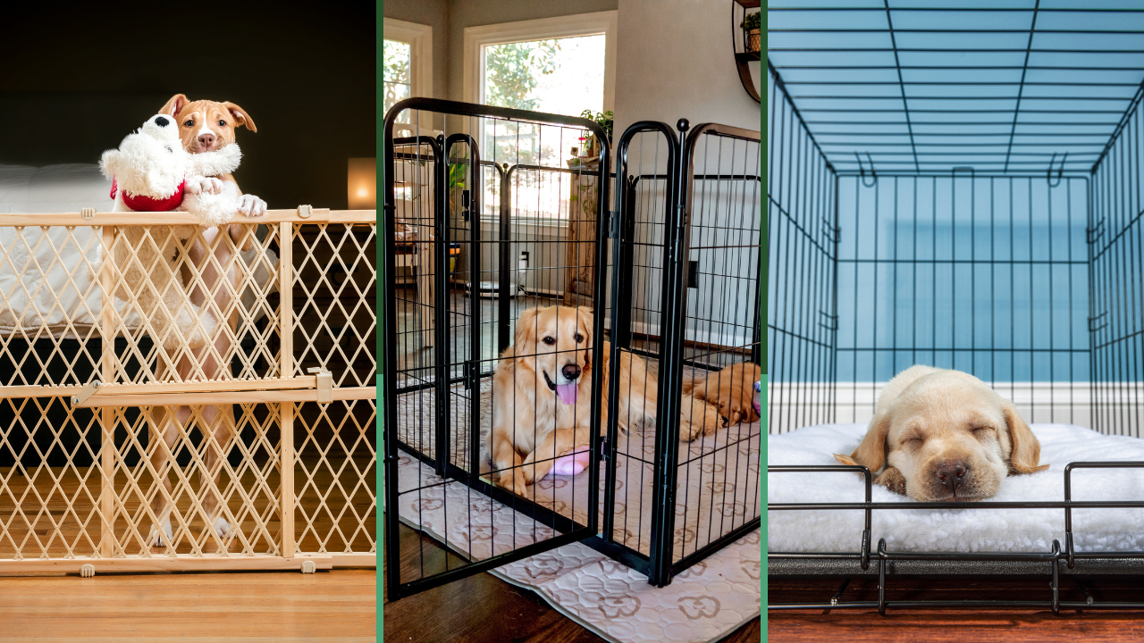  A thumbnail image comparing puppy containment options. The image is split into three sections, each with a different method: a puppy gate, a playpen with a puppy inside, and a crate with a sleeping puppy.
