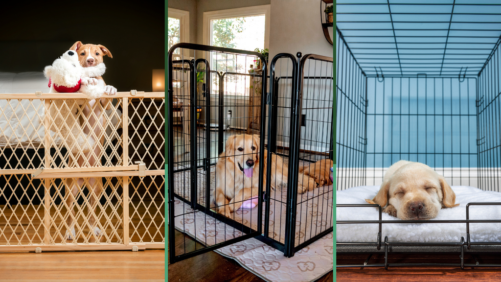 The Safest Way to Contain Your Puppy: Choosing Between Crates, Gates, Playpens