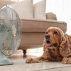 Dog cooling off indoors while lying in front of an electric fan on a hot day