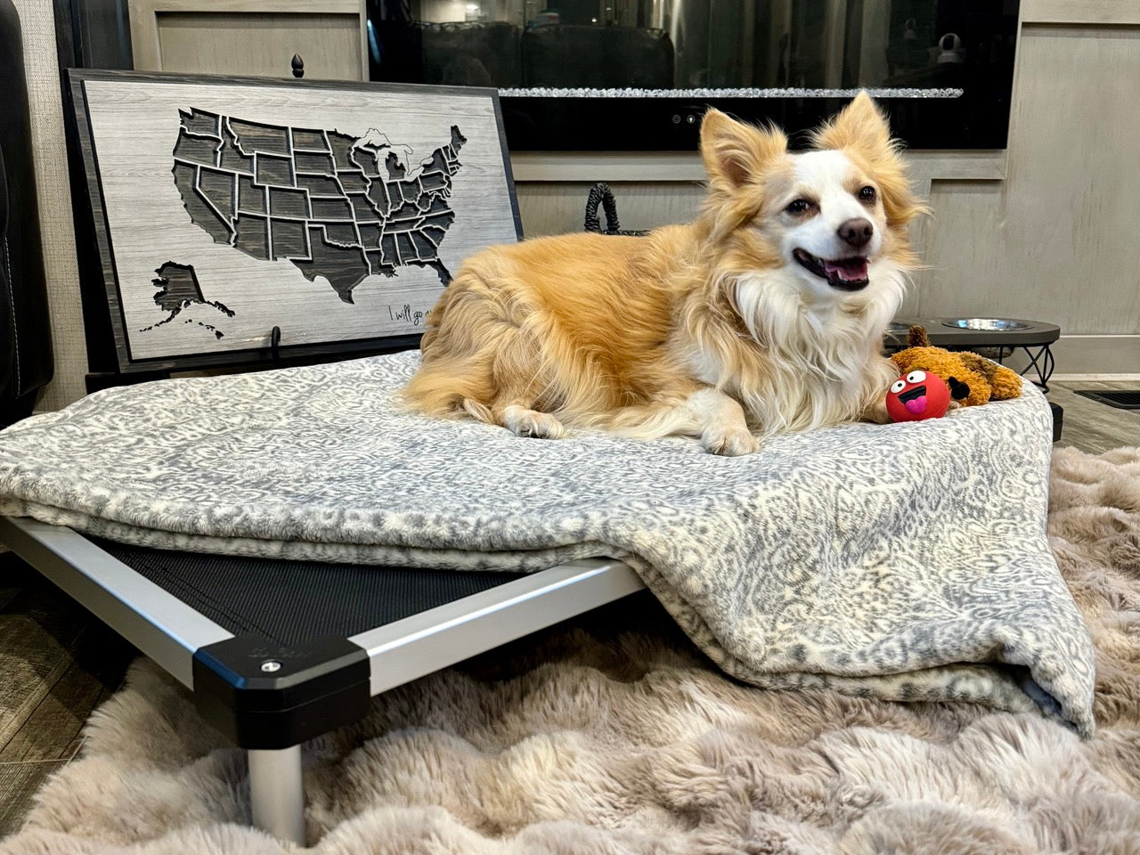 Health Benefits of Chew Proof Elevated Dog Beds for Dogs with Arthritis