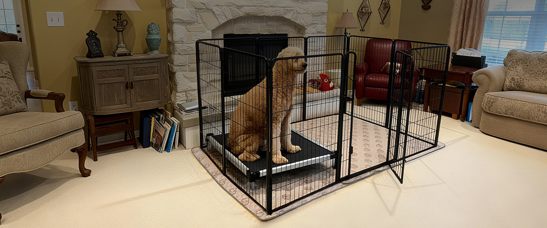 How to Choose the Best Indoor Dog Playpen in 2026