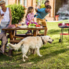 A Dog in a Family Gatherings in the yard. And Dog Playpens are needed During Family Gatherings