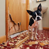 A dog chewed up the door and really need a chew proof elevated bed