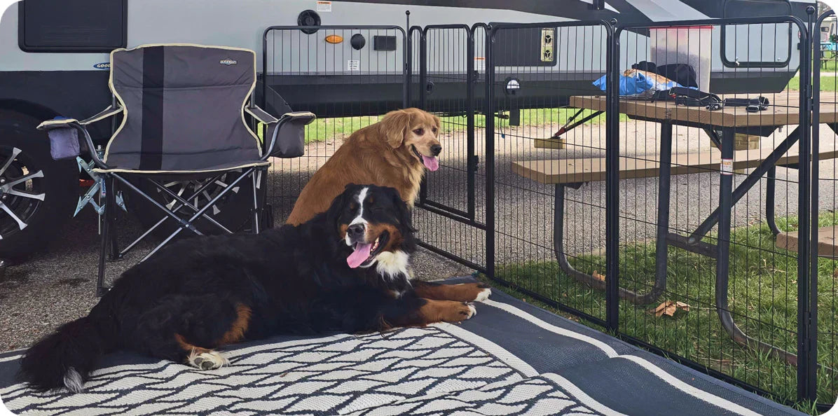 Dog Stop For Rv Camping with Your Dog: Avoid Hassles with a RV Dog Fence – FXW