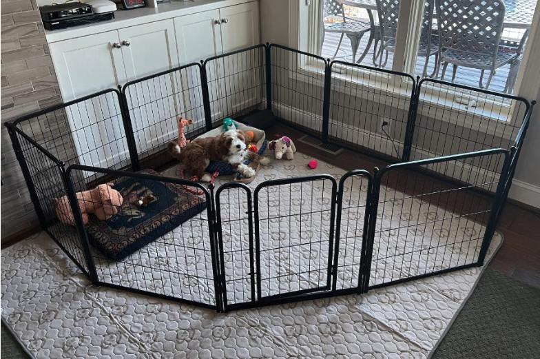 A dog in an indoor playpen