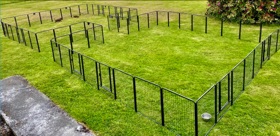 An Example of Creative Shapes and Configurations for Dog Playpens