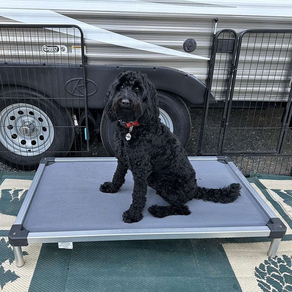 FXW Dog Bed - FXW Dog Playpen