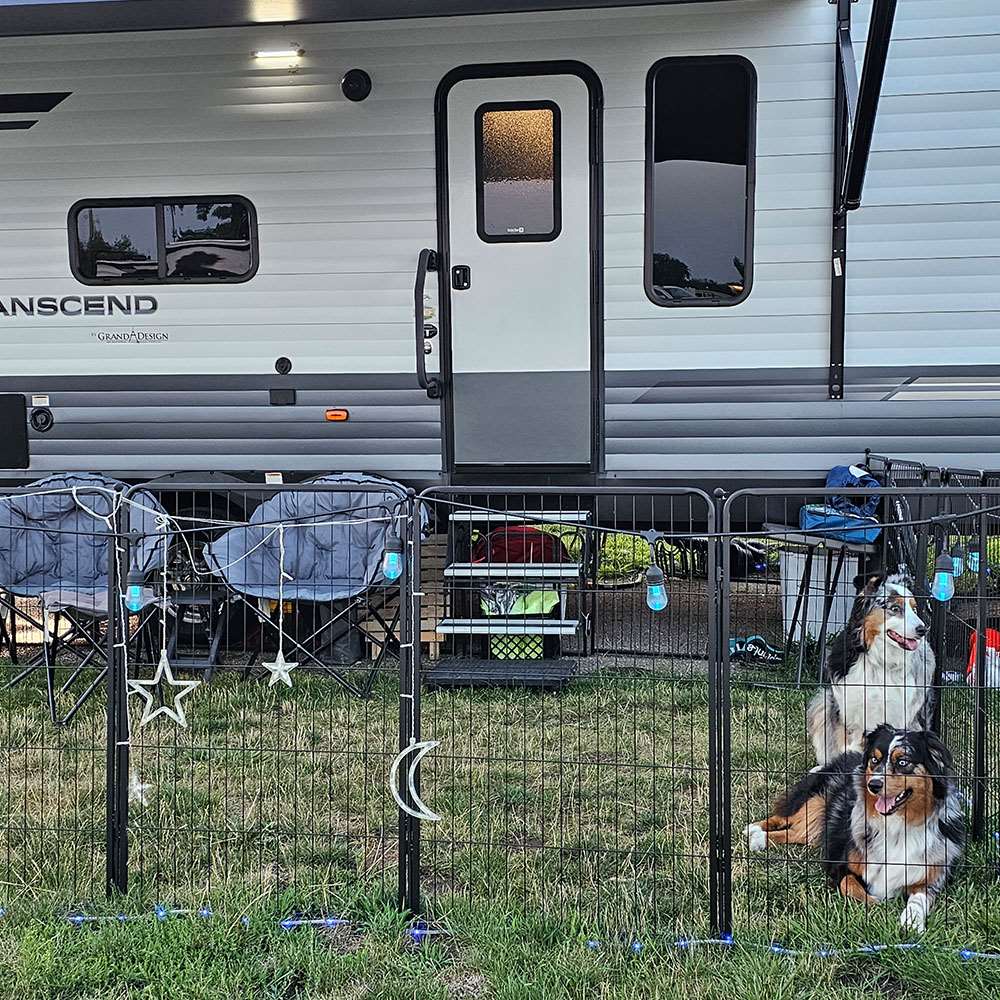 Rollick Dog Playpen for All-Terrain