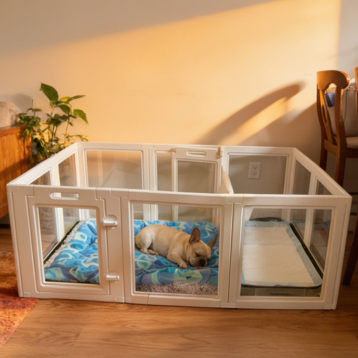 AuraSpace Acrylic Indoor Dog Playpen for Small to Medium Dogs