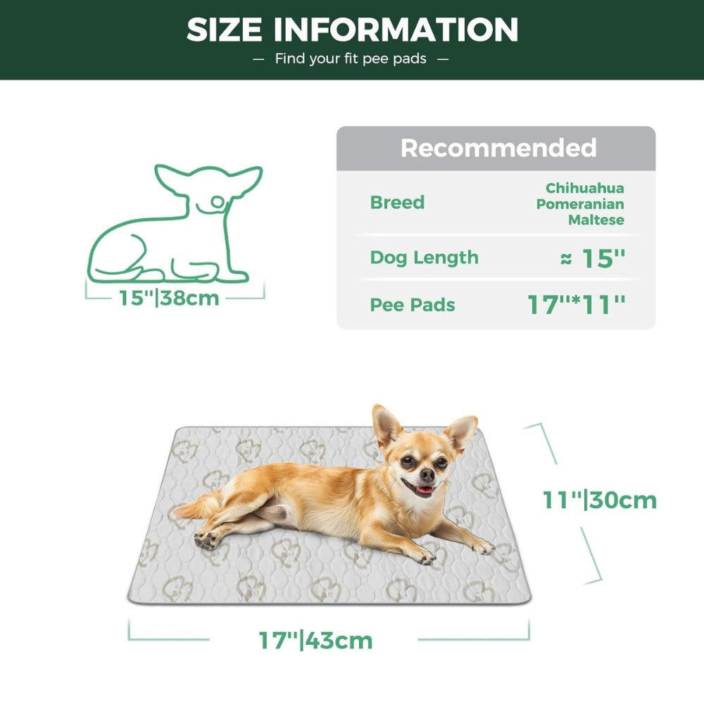 Washable Pee Pads for Housebreaking Your Dog FXW