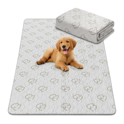 Washable Pee Pads for Housebreaking Your Dog FXW