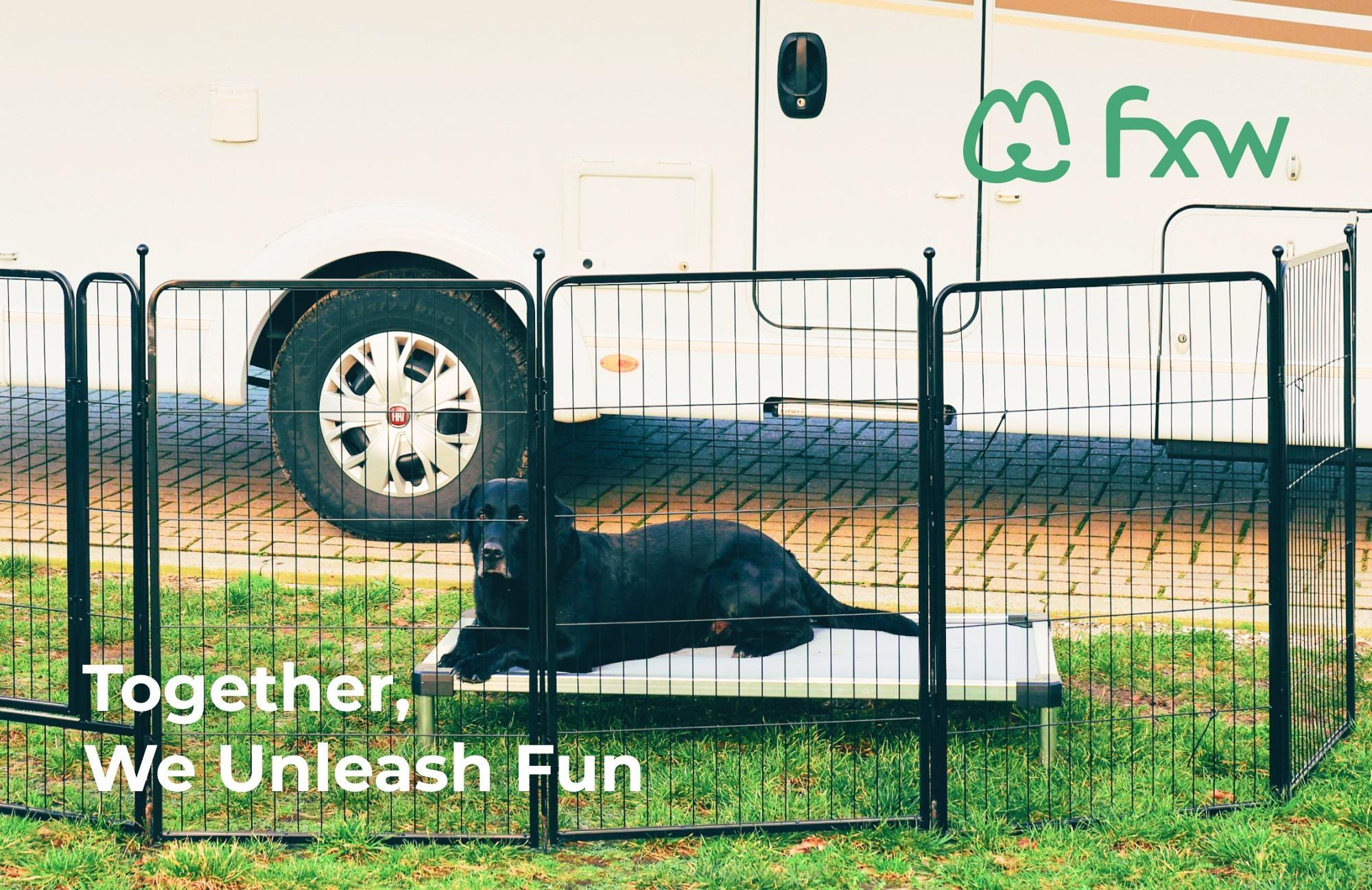 dog fence for camping