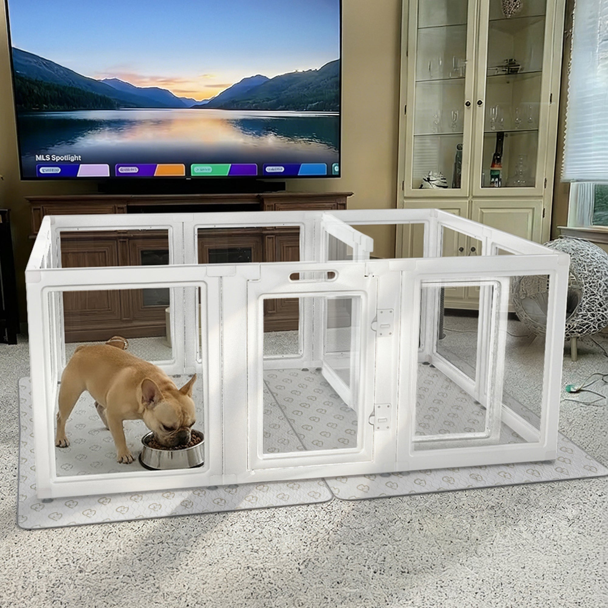 AuraSpace Acrylic Indoor Dog Playpen for Small to Medium Dogs