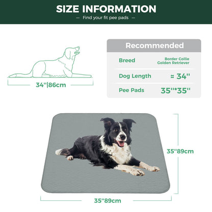 FXW Grey Washable Pee Pads