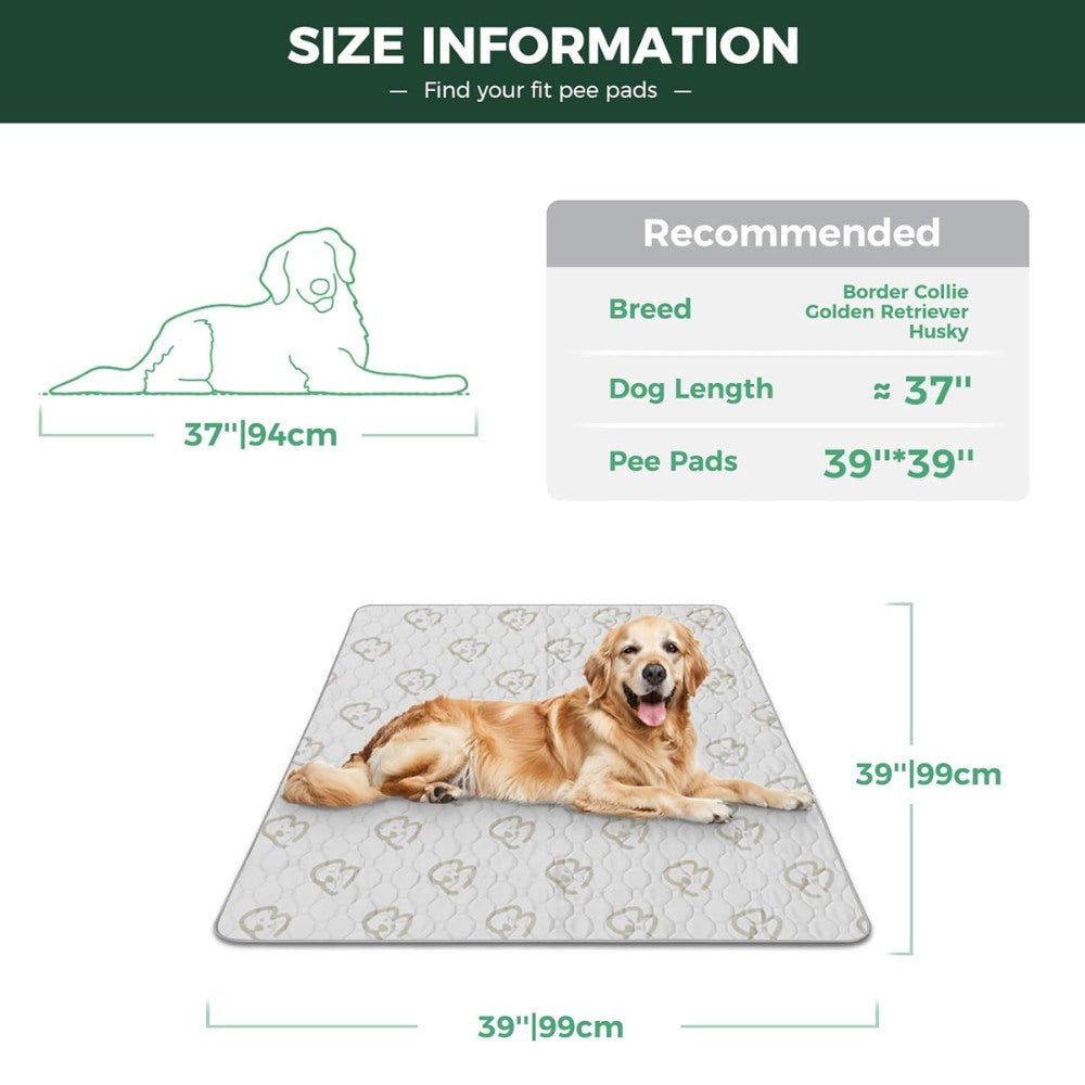 Washable Pee Pads for Housebreaking Your Dog FXW