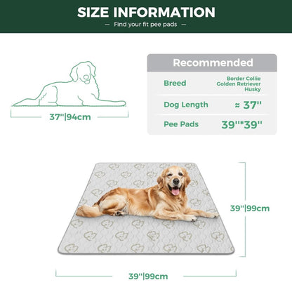 Washable Pee Pads for Housebreaking Your Dog FXW