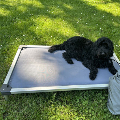 TitanNest Padded Chew-Proof Elevated Dog Bed for Your Chewer 36.0"L x 24.0"W x 4.5"H Grey FXW