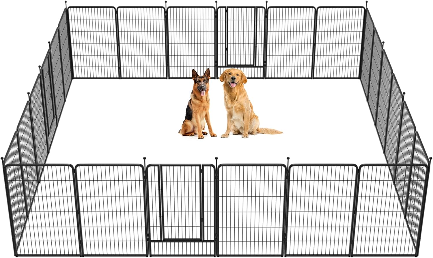 best dog fence