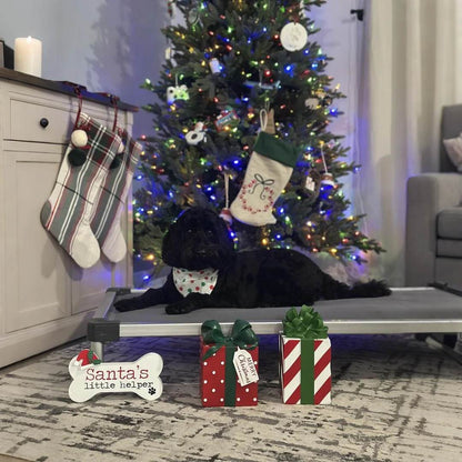 TitanNest Padded Chew-Proof Elevated Dog Bed for Your Chewer