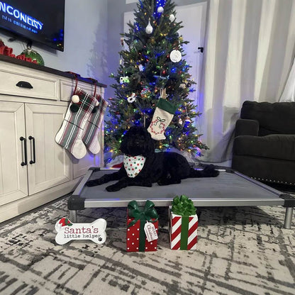 TitanNest Padded Chew-Proof Elevated Dog Bed for Your Chewer