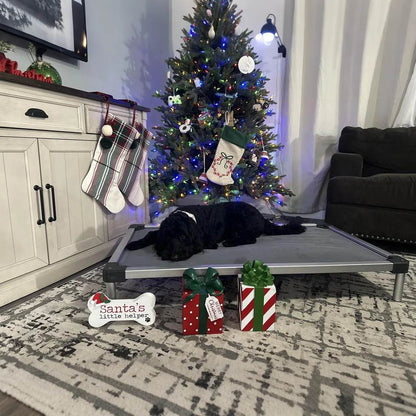 TitanNest Padded Chew-Proof Elevated Dog Bed for Your Chewer