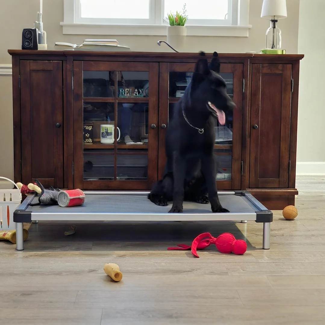 TitanNest Padded Chew-Proof Elevated Dog Bed for Your Chewer