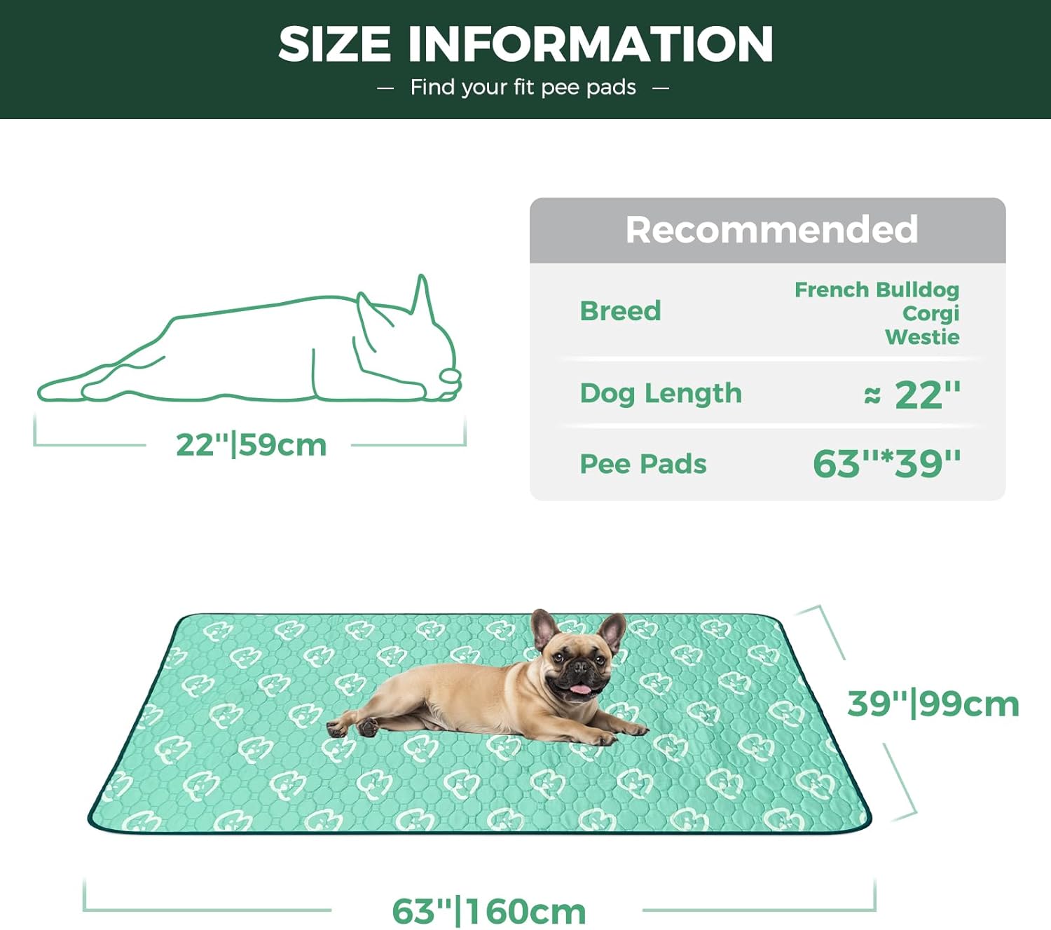 Washable Pee Pads for Housebreaking Your Dog