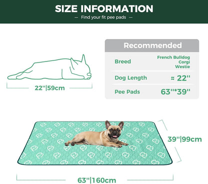 Washable Pee Pads for Housebreaking Your Dog