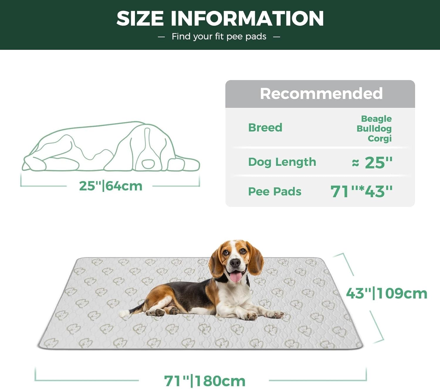 Washable Pee Pads for Housebreaking Your Dog