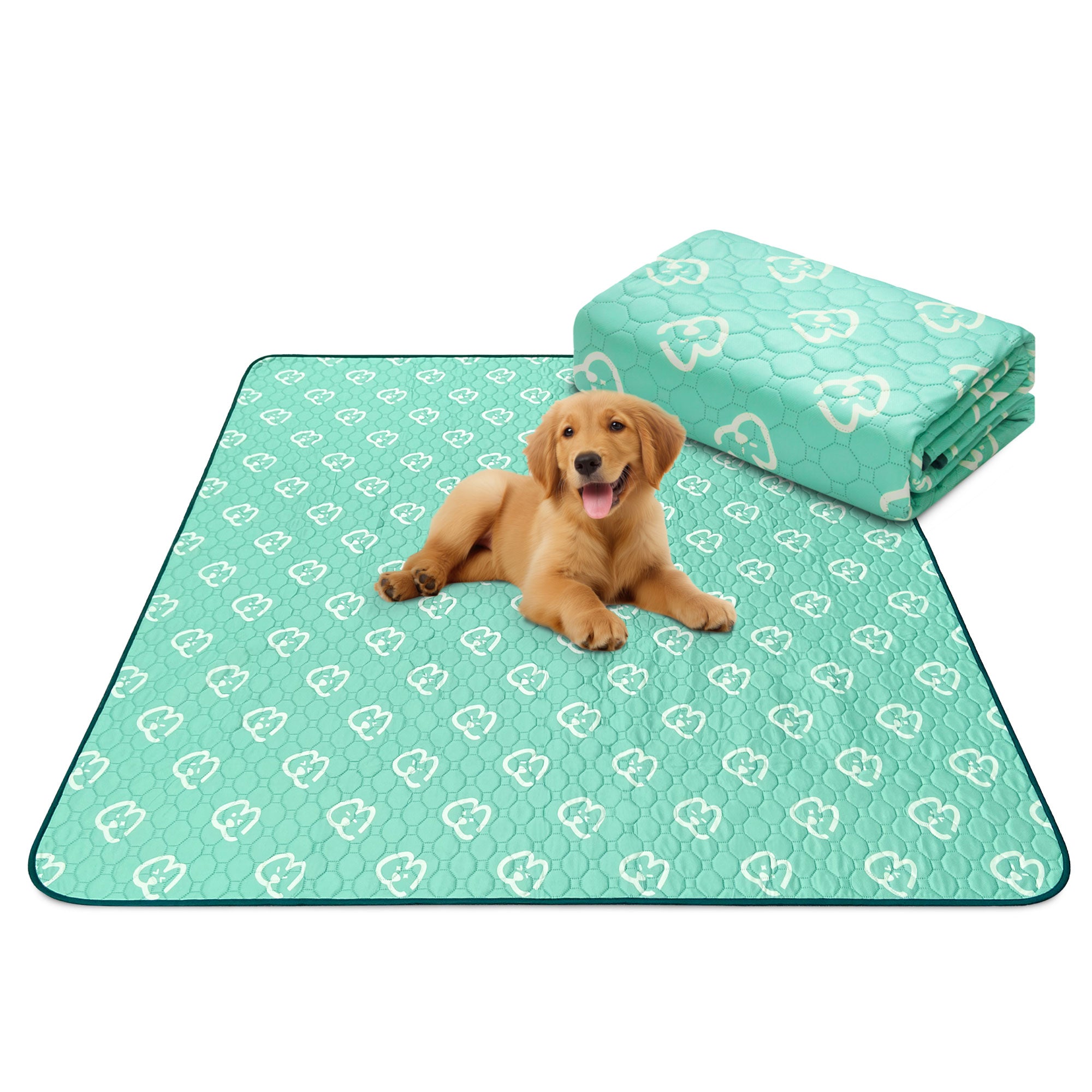 Washable Pee Pads for Housebreaking Your Dog 63" x 63" Square Green FXW