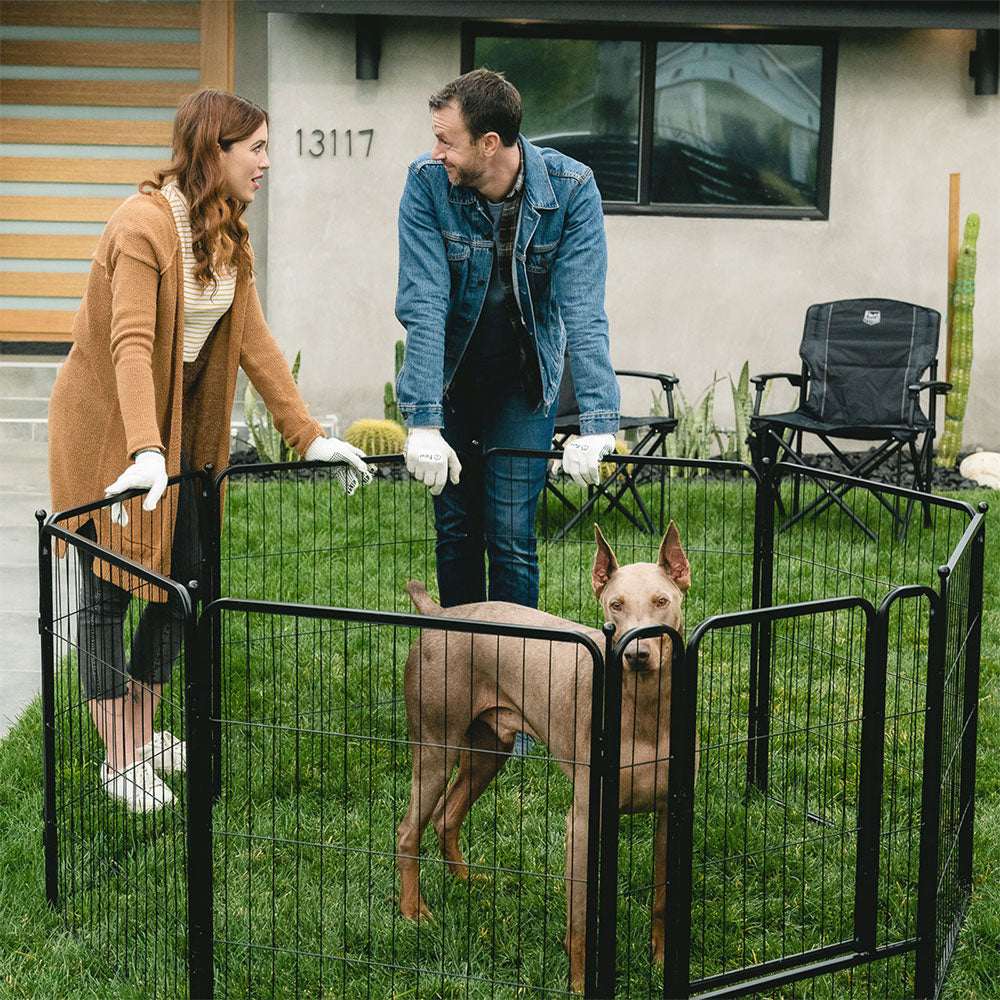 fxw rollick dog playpens for using in yard