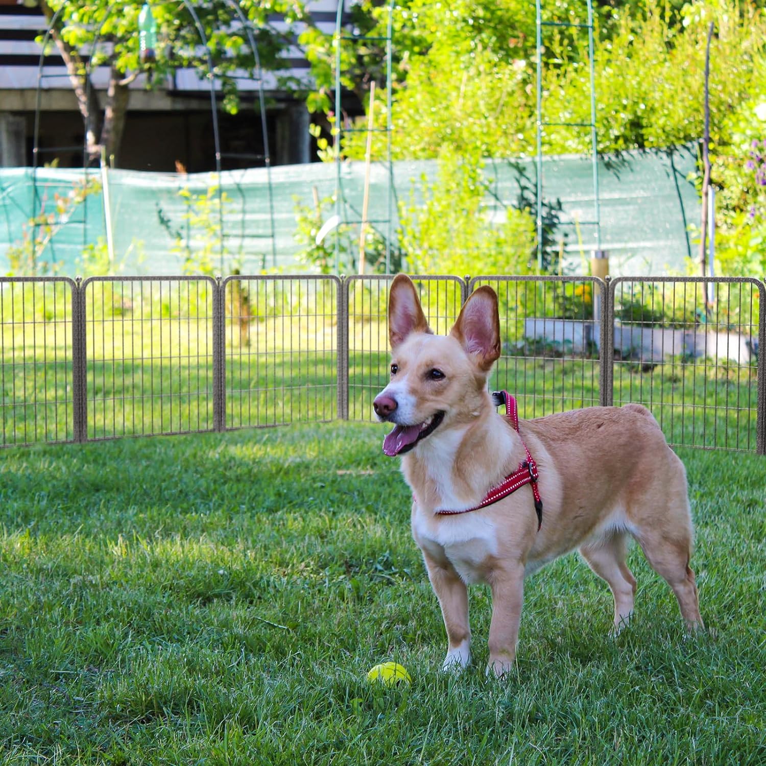Aster Dog Playpen for Yard WM 24 inch 7 Panels & 1 Gate WM
