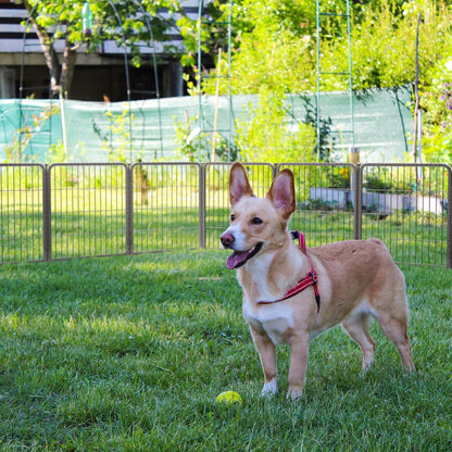 Aster Dog Playpen for Yard WM 24 inch 7 Panels & 1 Gate WM