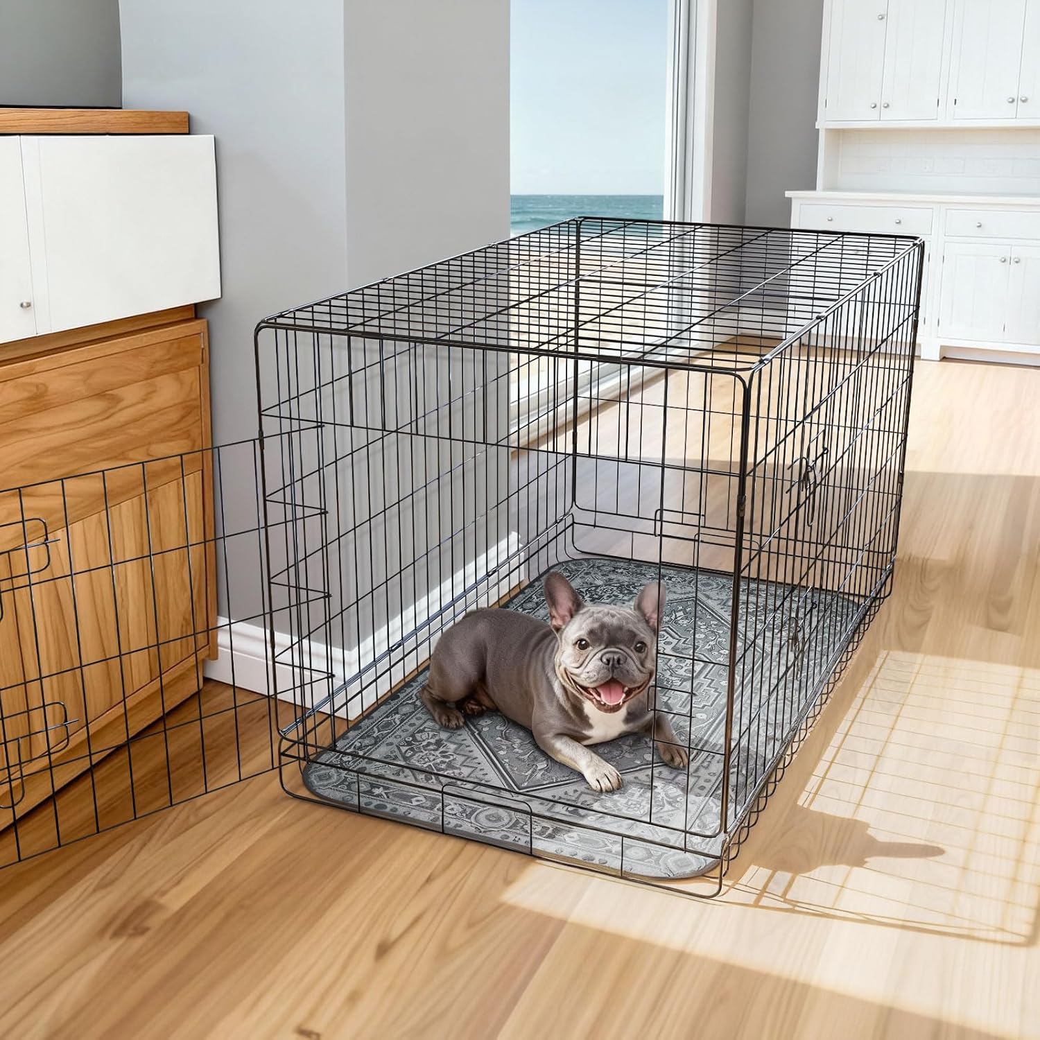 Washable Pee Pads for Housebreaking Your Dog