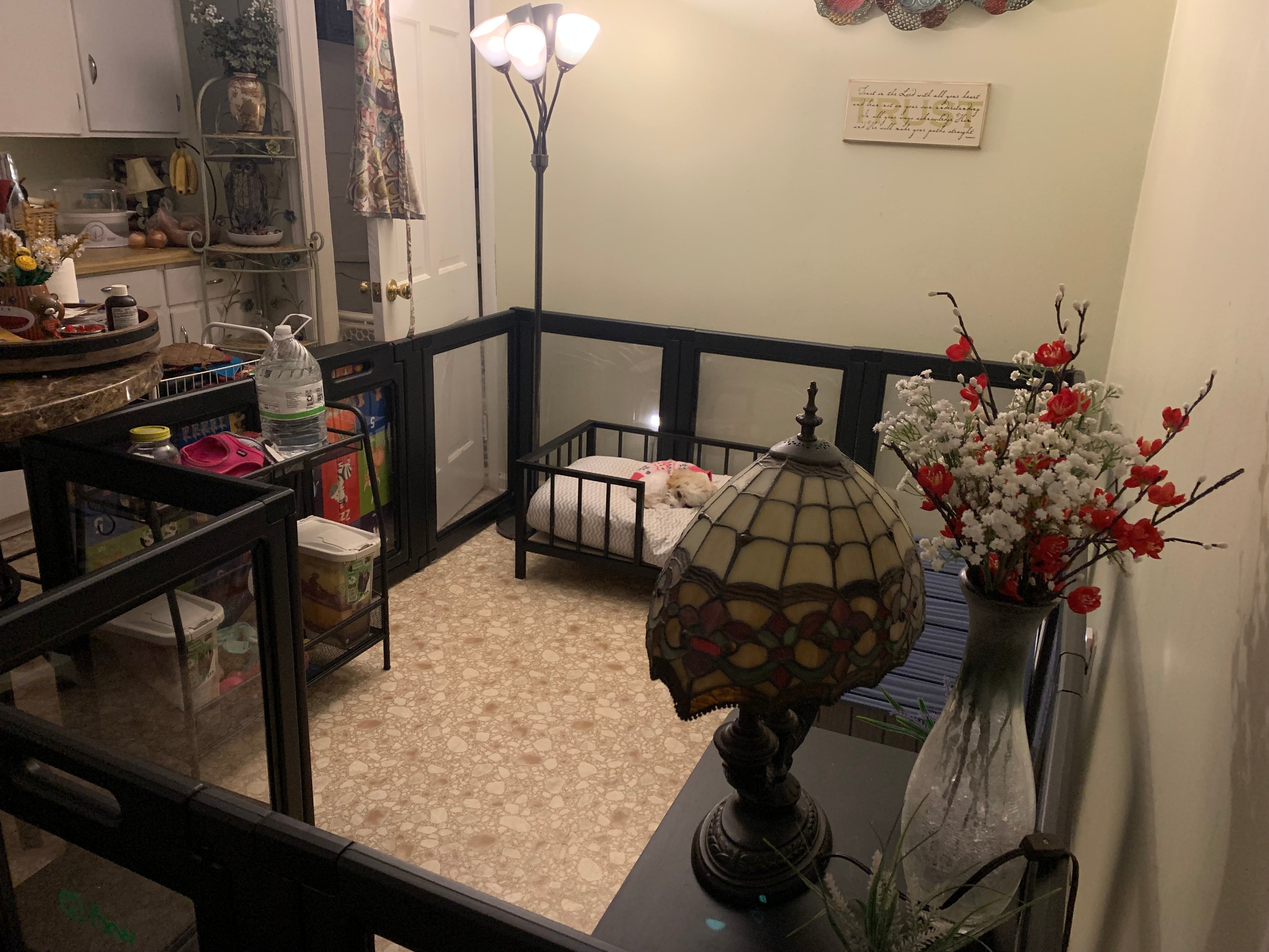 Black frame FXW acrylic indoor dog playpen in a cozy living area with a sleeping pet and traditional decor.