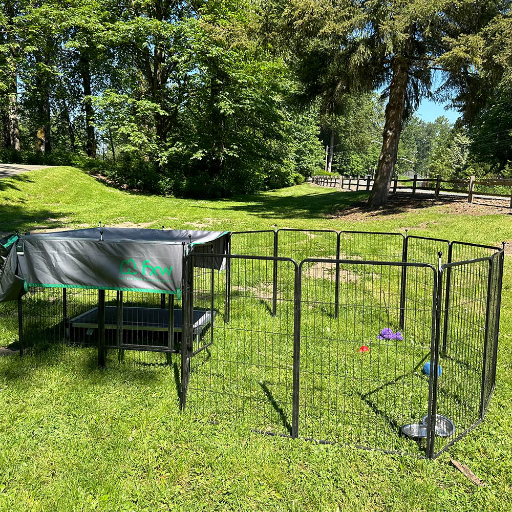 Bundle - Instant Dog Playpen & Sun Shade