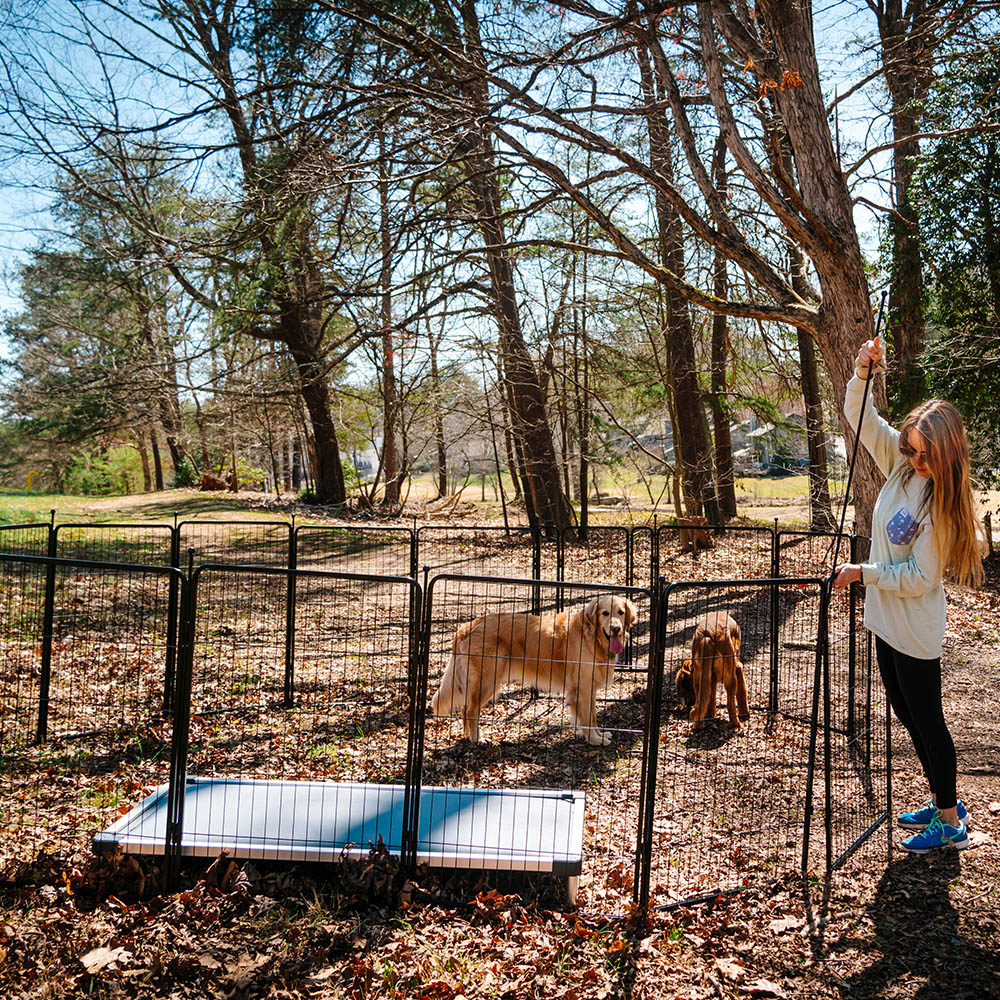 Bundle - Rollick Dog Playpen & TitanNest Padded Dog Bed