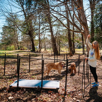 Bundle - Rollick Dog Playpen & TitanNest Padded Dog Bed