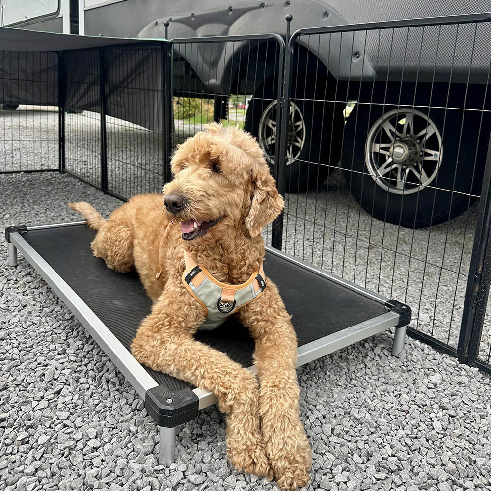 Bundle - Rollick Dog Playpen & TitanNest Cooling Dog Bed