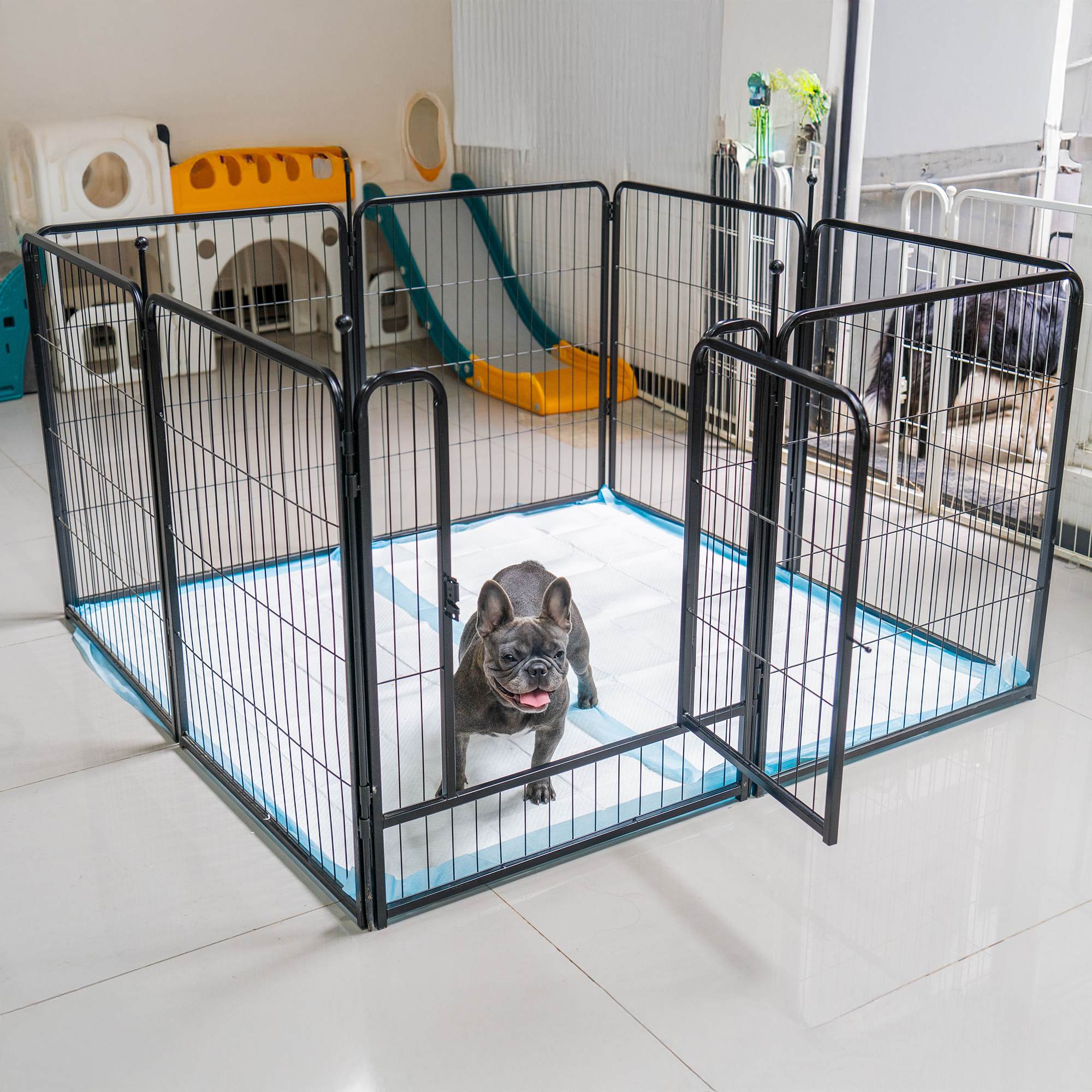 Extra Large Disposable Puppy Pads for Potty Training and Whelping FXW