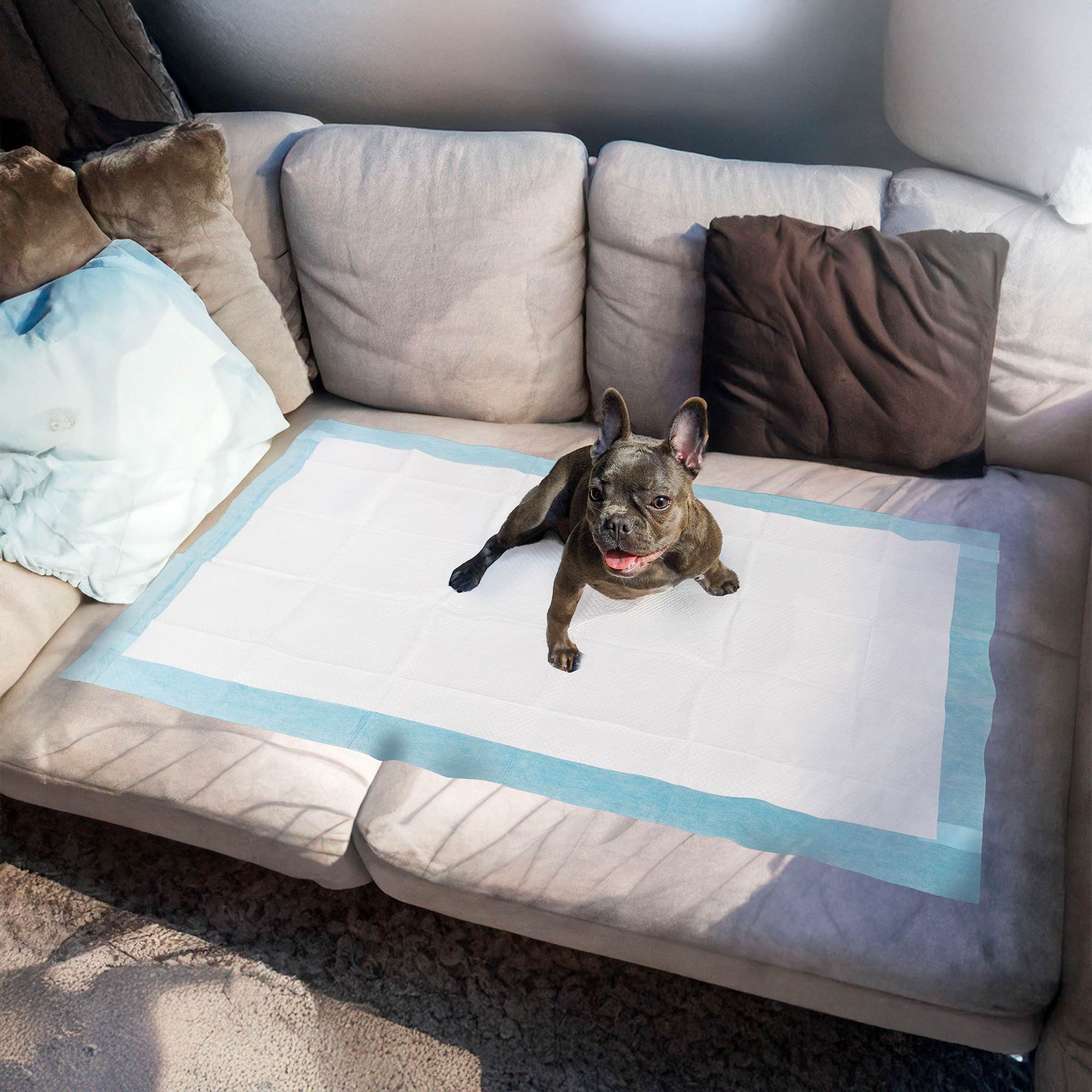 Extra Large Disposable Puppy Pads for Potty Training and Whelping FXW