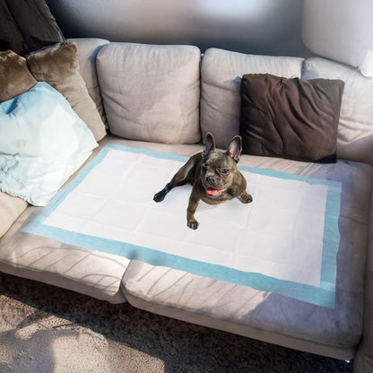 Extra Large Disposable Puppy Pads for Potty Training and Whelping FXW