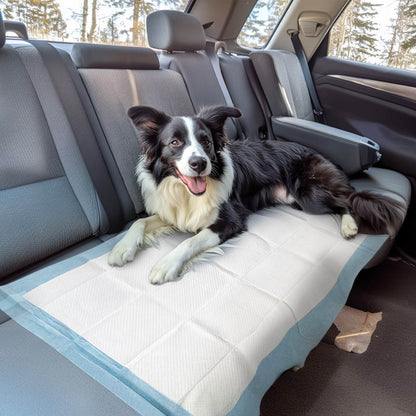 Extra Large Disposable Puppy Pads for Potty Training and Whelping FXW