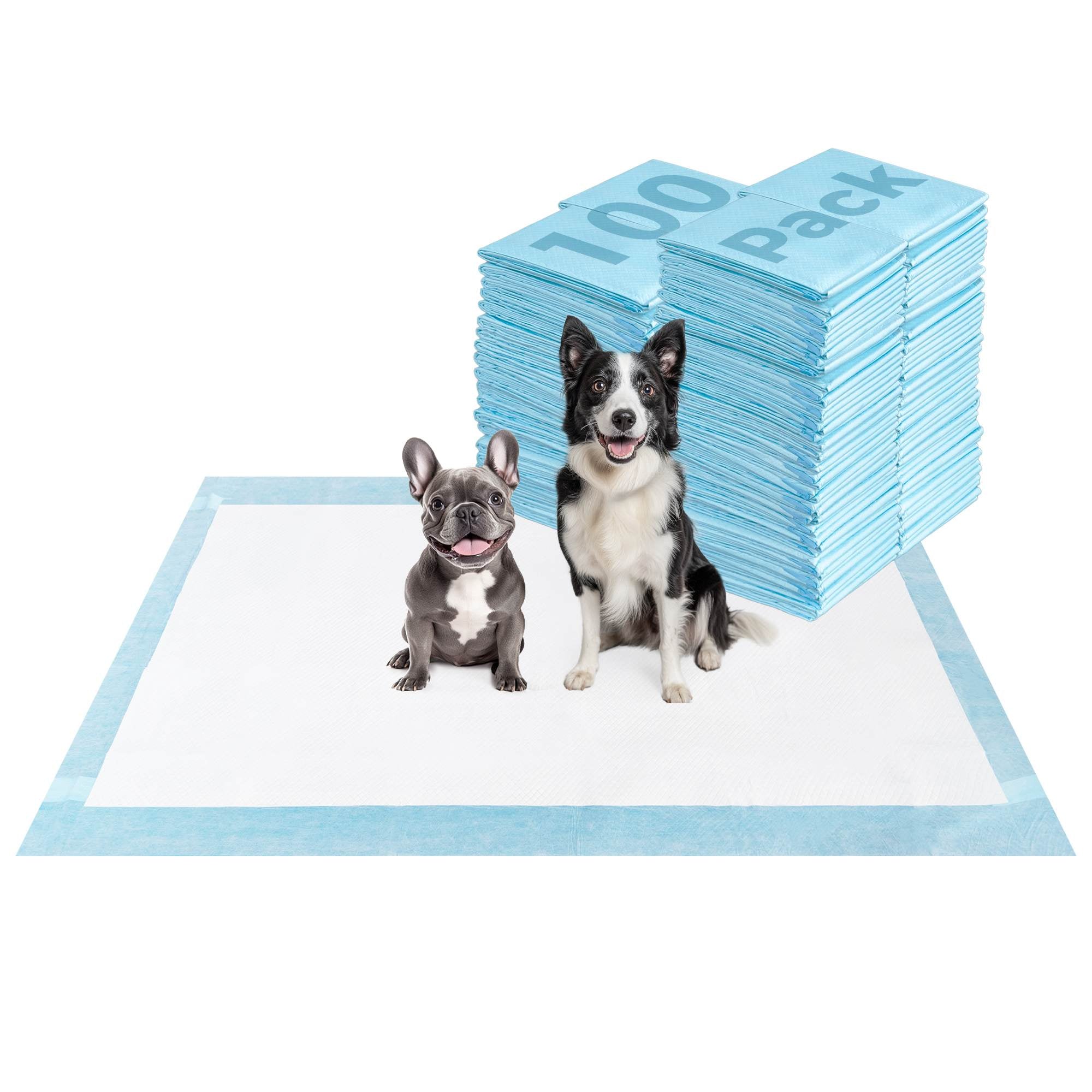 Extra Large Disposable Puppy Pads for Potty Training and Whelping 51x29 inch Blue 100 FXW
