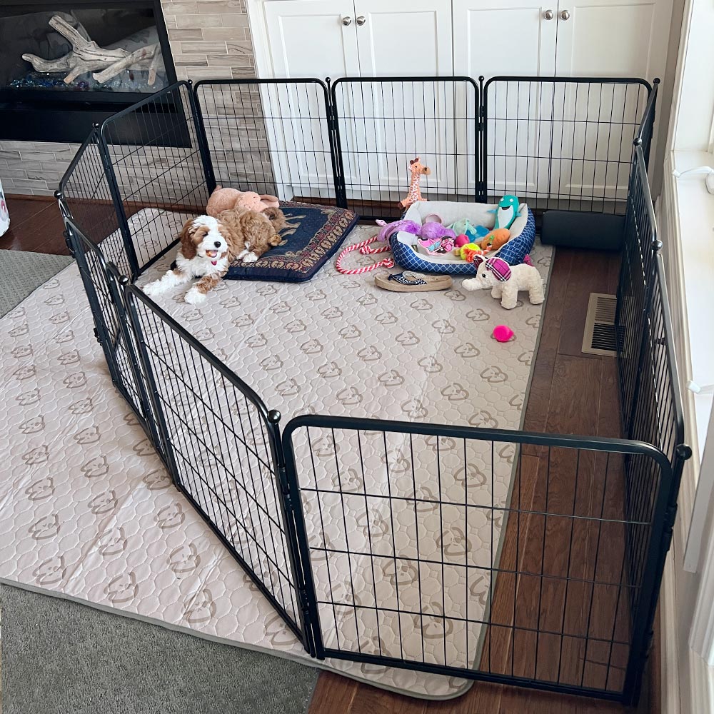 Homeplus Dog Playpen for Indoor Use – FXW