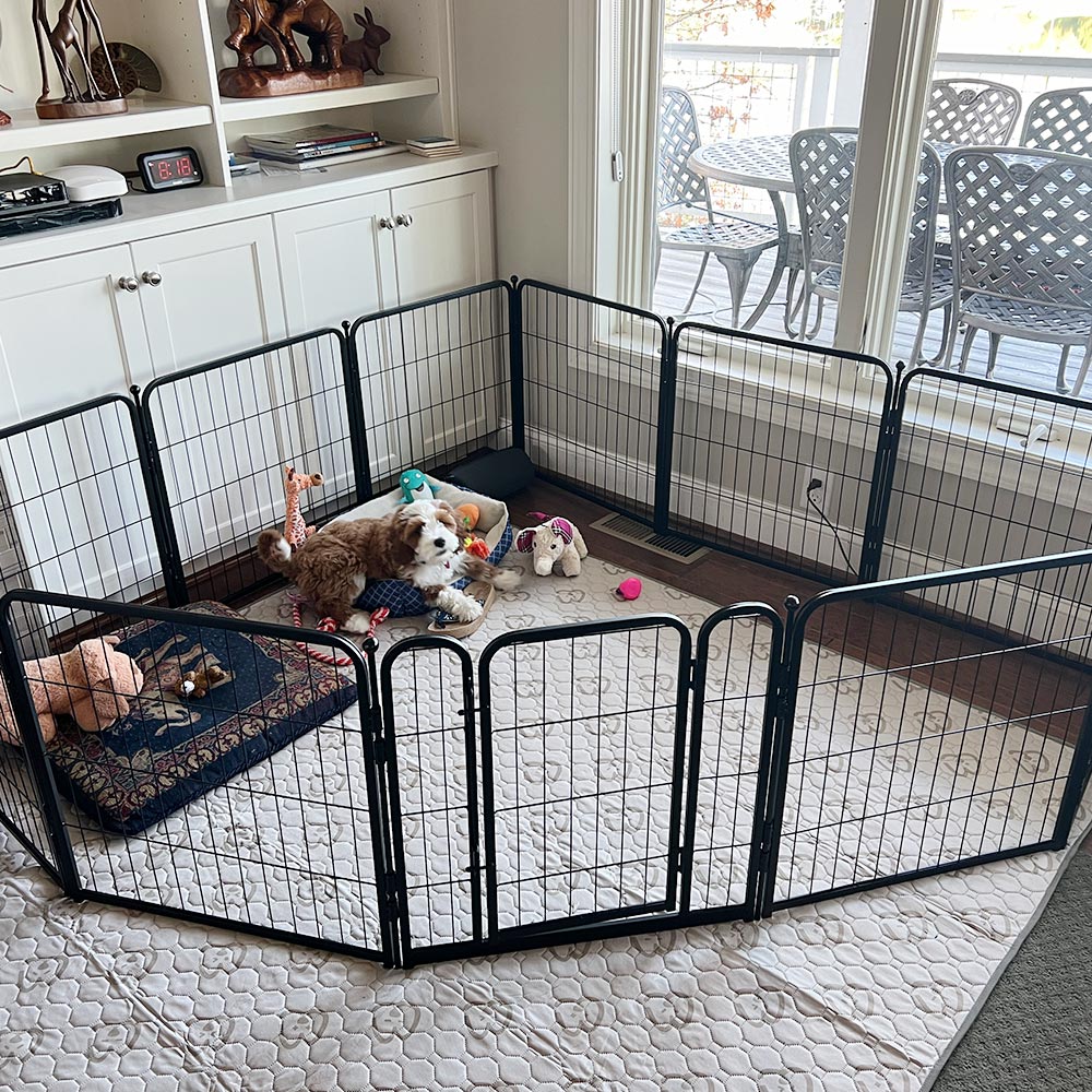 Best Apartment Dog Playpens photo