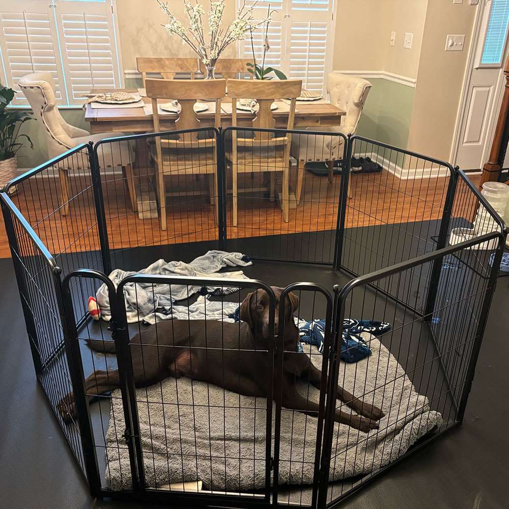 Homeplus Dog Playpen for Indoor Use