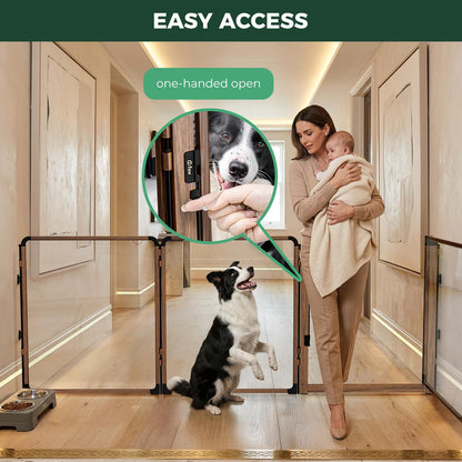FXW ClariWall Metal & Acrylic Dog Gate